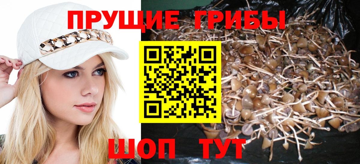 Галлюциногенные грибы мухоморы Одинцово