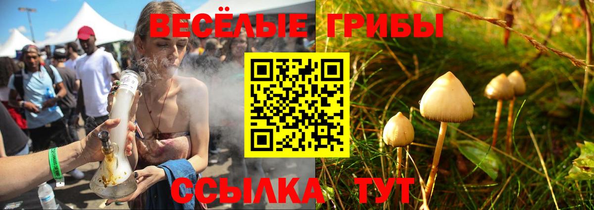 Одинцово  Псилоцибиновые грибы Psilocybe  Вход с VPN 